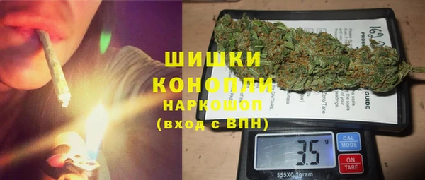 PSILOCYBIN Липки