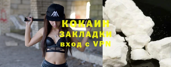 PSILOCYBIN Липки