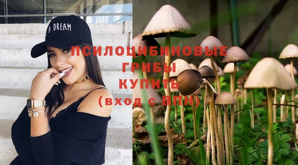 ешки Лиски