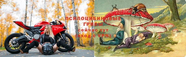 ешки Лиски