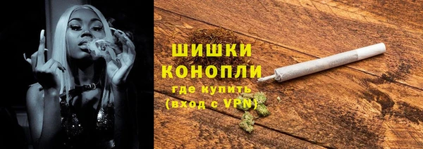 PSILOCYBIN Липки